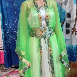 Hanfu female cosplay costume dress lace Embroidery fairy traditional costume for dance play