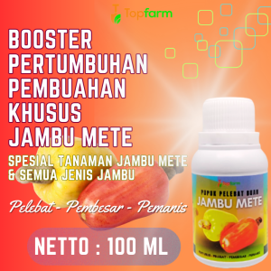 Pupuk Organik Cair Tanaman Buah / Pupuk Buah Khusus Jambu Mete / Pupuk Jambu Mete / Pupuk Pelebat Buah Jambu Mete / Pupuk Pembesar Buah Jambu Mete