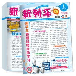 2025 NEW EXPRESS Assessment Magazine Compilation Booklet (P5 & P6)