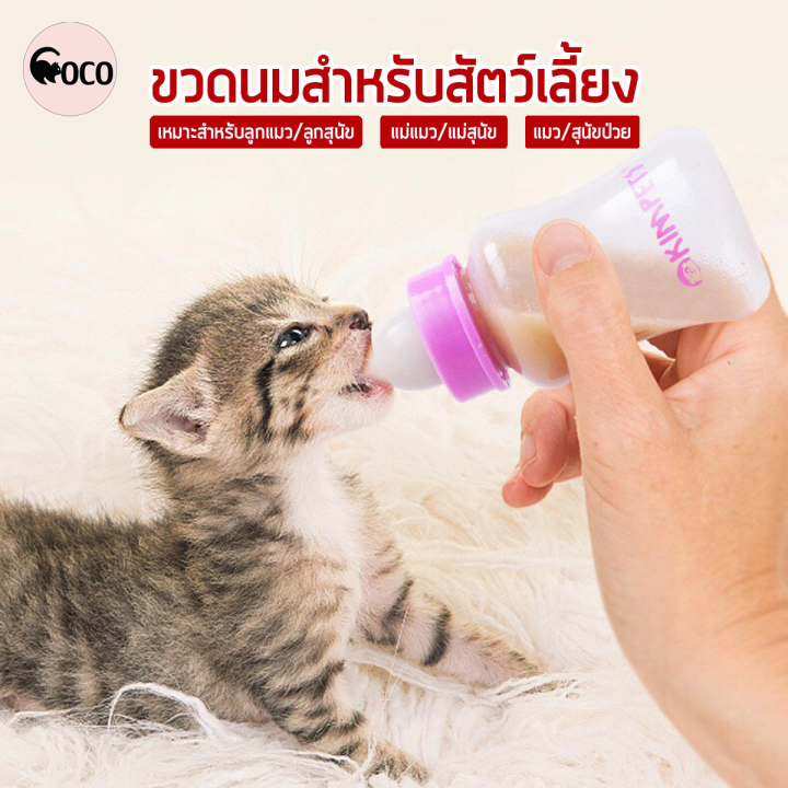 coco.pet ขวดนมลูกแมว 150ml พร้อมชุดทำความสะอาด