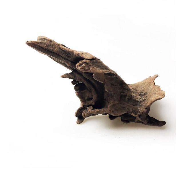 C%C3%A0nh%20g%E1%BB%97%20l%C5%A9a%20kh%C3%B4%20trang%20tr%C3%AD%20b%E1%BB%83%20c%C3%A1%20th%E1%BB%A7y%20sinh,%20bonsai,%20ti%E1%BB%83u%20c%E1%BA%A3nh,%20gh%C3%A9p%20lan%20-%20Image%207