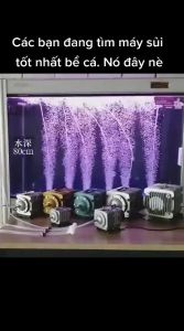 Máy Sủi Oxy Hailea ACO-318 (45W) - Bơm Oxy Công Nghiệp 65L/P Cho Hồ Cá Nuôi Tôm Cua