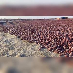 Instant Soup Dried Mushroom Treasures Black Fungus Shiitake Lily Lotus Seed Tremella Soup Pack Xinjiang Jujube Longan Wholesale 干货