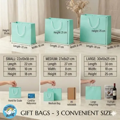 LOCAL SELLER 🇸🇬【Ready Stock】Premium Quality Paper Bag Gift Bag Birthday Party Goodie Bag Paper Bags for Gift 好质量礼物结婚喜庆礼品