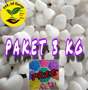 PROMO 3 KG BATU SALJU BATU PUTIH ITALI DEKORASI AQUASCAPE
