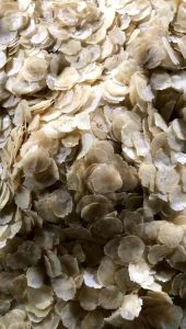 EMPING MELINJO MENTAH ASLI KHAS LIMPUNG SIZE LB/SEDANG 1KG KWALITAS SUPER
