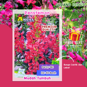 Bibit Tanaman / Bibit Bunga / Bunga Penstemon Hartwegi Berkualitas Isi 50 Benih / Benih