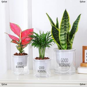 [COD] fjdse กระถางดอกไม้ไฮโดรโปนิกส์ใส่น้ำอัตโนมัติกระถางดอกไม้พลาสติกสองชั้นใสรดน้ำด้วยตัวเองสำหรับสำนักงาน