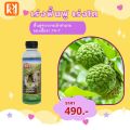 มะกรูด ใบเหลือง ใบหงิก ใบไหม้ ราดำ กำจัดโรค เชื้อราต่างๆในมะกรูด ปลอดสารพิษ ไอเอส และ FK-T(ใช้ได้ทุกพืช)โดย FK สวน ปุ๋ย. 