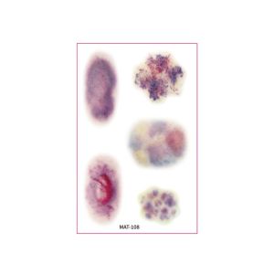 PWD0442 Bloody Makeup Halloween Tattoo Sticker Waterproof Sweatproof Bruise Scab Scar Tattoo Sticker Body Art Sticker Disposable Zombie Cosplay Props Festival Carnival
