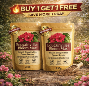 [Buy 1 Get 1 ]Bougainvillea Bloom Max stimulates flowering nourishes flowers reduces flower drop