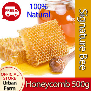 Signature Bee Honeycomb Natural Authentic Original Health Food Supplement Local Bee Farm