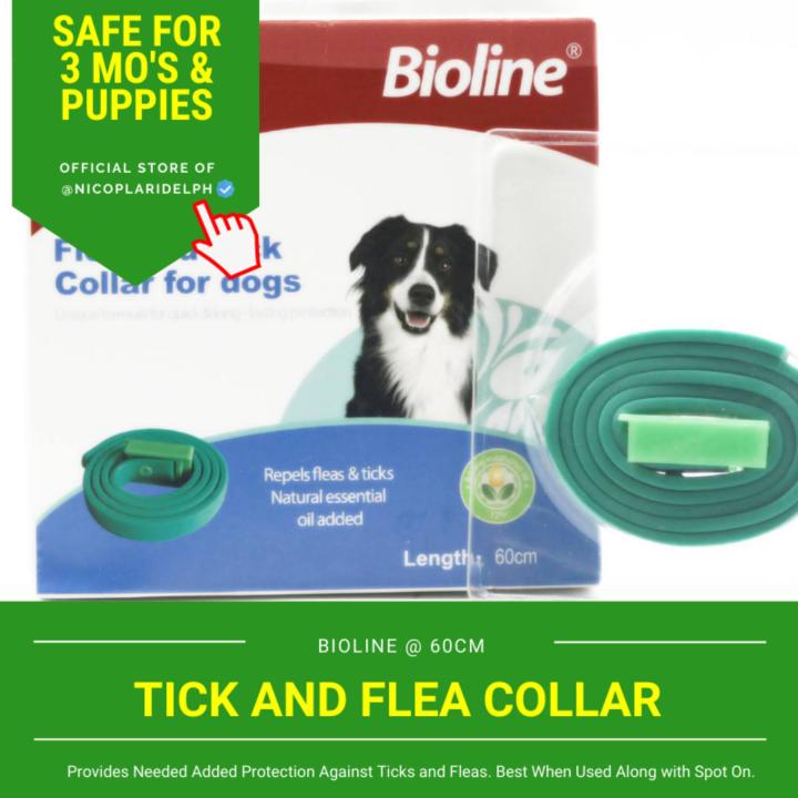 Dog collar outlet anti flea