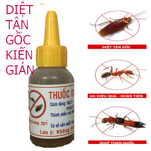 Thuốc diệt kiến sinh học diệt tận gốc kiến - gián diệt kiến tận gốc diệt gián hiệu quả không mùi an toàn với sức khỏe 6 tháng kiến không quay trở lại diệt kiến vườn lan