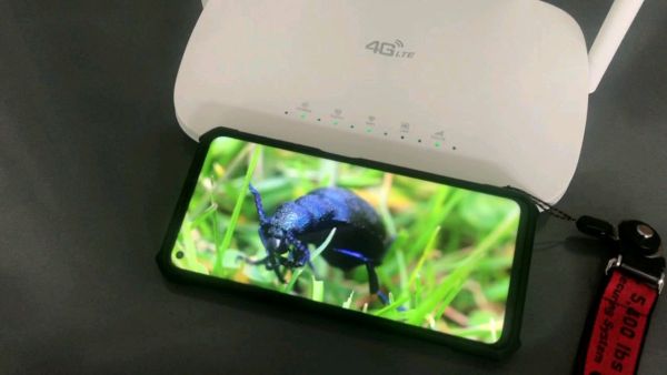 Buyer review video 6