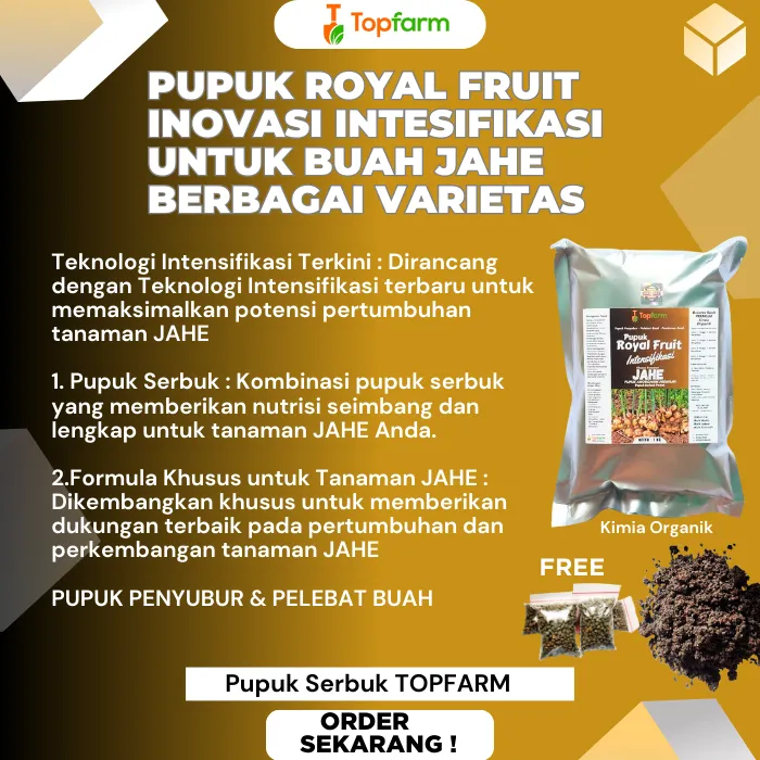Pupuk%20Khusus%20Tanaman%20Jahe%20/%20Pupuk%20Pembesar%20Umbi%20Jahe%20/%20Pupuk%20Untuk%20Tanaman%20Jahe%20/%20Pupuk%20Jahe%20Umbi%20Besar%20/%20Pupuk%20Jahe%20Merah%20/%20Pupuk%20Penyubur%20Tanaman%20Jahe%20-%20Image%205