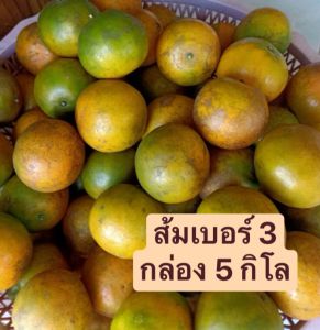 ส้มสายน้ำผึ้ง อ.ฝาง (แบบผิวลาย หวานเข้มข้น)