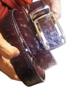 Buckle-Belt Genuine Ostrich  Leather