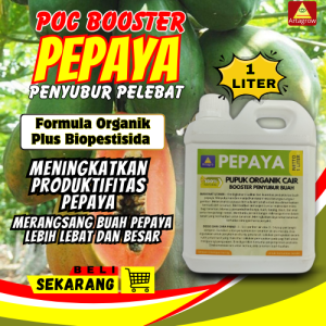 Pupuk Pepaya Cepat Berbuah / Booster Pepaya Berbuah Lebat / Pupuk Cair Terbaik Penyubur Pohon Pepaya