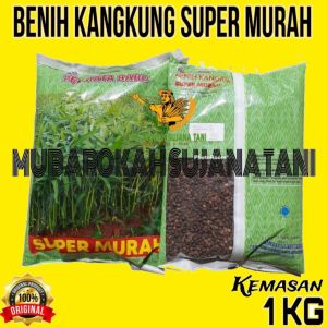 Benih Kangkung 1 Kg Super Murah Kemasan Pabrik