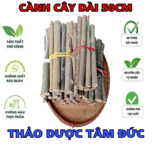 combo 50 cành cây dài 50cm làm decor trang trí