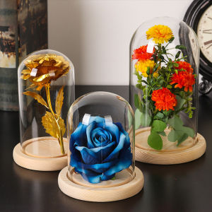 【Glass Flower Cover(with Base)】Terrarium Bottle with Wooden Base Acrylic Dust Cover Glass Cloche Jar Display Stand Cover Display Box Immortal Flower Box Glass-Cover
