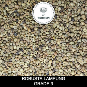 GREEN BEAN BIJI KOPI MENTAH ROBUSTA LAMPUNG GRADE 3 - 1 KG