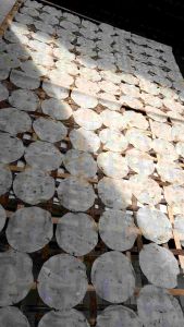 Opak jengkol Mentah Isi 100 pic