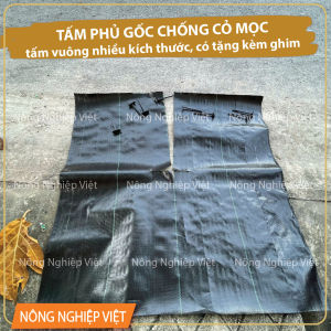 Combo 10 đến 100 tấm bạt phủ gốc chống cỏ 1mx1m (có tặng ghim) bạt thấm nước tốt độ bền cao
