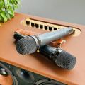 Loa Di Động MTMAX DK02 – Công Suất Lớn, Bass Đôi, Kèm 2 Micro Cao Cấp. 