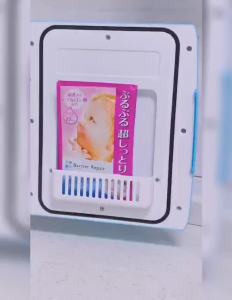 Mini Refrigerator Household Rental Mini Refrigerator Mini Dormitory Student Car Refrigerator Dual Use in Car and Home 12V