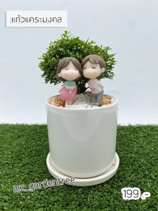 🎍🎍บอนไซแก้วแคระมงคลพร้อมตุ๊กตาคู่เลิฟ🎍🎍