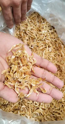 DRIED HIPON / SHRIMP from MINDANAO