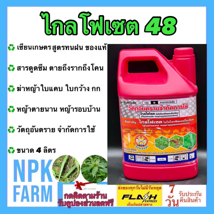 ไกรโฟเซต 48 เซียนเกษตร ขนาด 4 ลิตร ของแท้ กำจัดวัชพืช ชนิดดูดซึม สูตรทนฝน หญ้าตายนาน ตายยันราก ฆ่าหญ้า ใบแคบ ใบกว้าง รอบบ้าน สวน คันนา