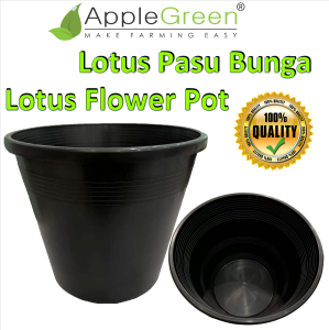 HIGH QUALITY LOTUS FLOWER POT WATER LILY NO HOLE POTS SIZE SELECTION PASU TERATAI / FLOWER POT PLANT /PASU BUNGA 莲花 花盆