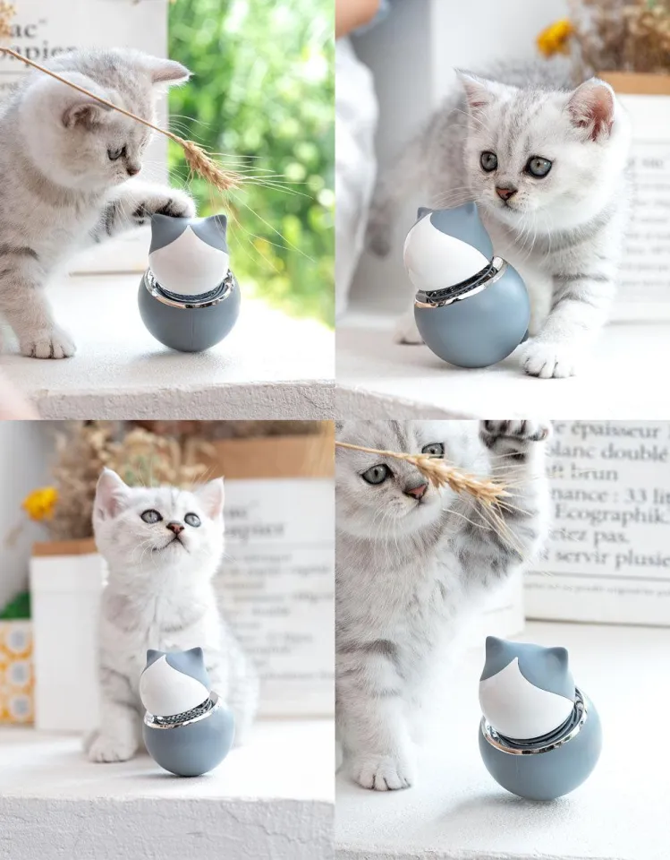 Uareliffe Aromatherapy Diffuser Cookie Cat Shape Design Portable