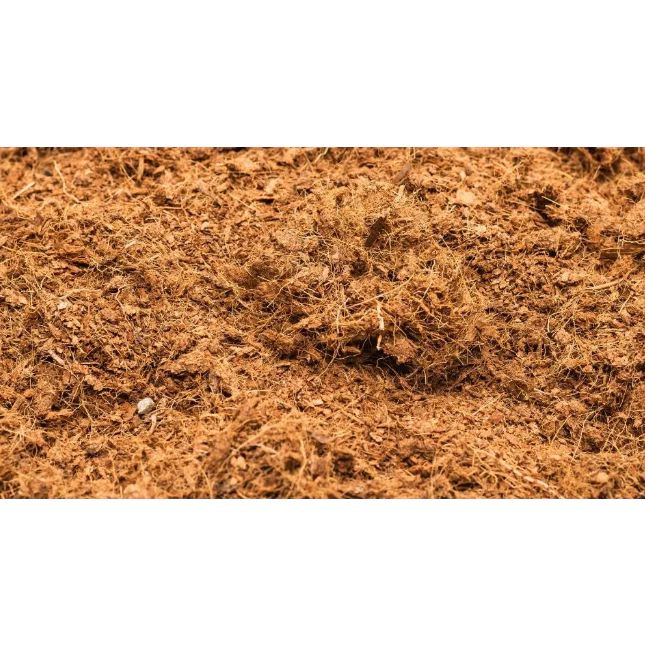 Làm thế nào để không lãng phí đất trồng cây hữu cơ khi bạn nghĩ đã mua đúng sản phẩm?