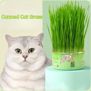 Canned Cat Grass Kit Pet Grass Hydroponic Plant Promote Hair Removal Ball Pet Supplies Prevent Hairballs Aid Digestion