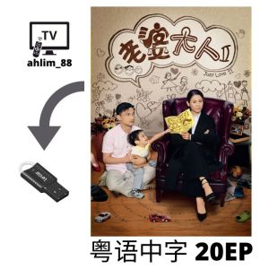 USB Classic Drama Cantonese 4 in 1 宣萱老婆剧 戆夫成龙 + 阿旺新传 + 老婆大人 + 老婆大人II 经典港剧 粤语中字