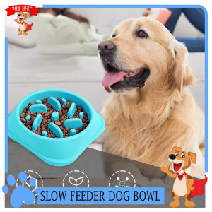 (VARIATION) Pet Dog Cat Thick Stainless Steel Non-slip Feeding Bowl Pet Water bowl 22cm/30cm