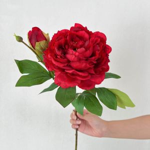 WAPKTY 2 Heads Silk Plastic Artificial Flower Peony Multicolor Peony Lifelike Flowers Vivid 2 Heads Bridal Bouquets Home Decoration