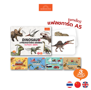 Mornington ยกเซ็ต ชุดการ์ดคำศัพท์ ขนาด A5 แฟลชการ์ด 3 ภาษา เสริมพัฒนาการเด็ก / เซ็ต 5กล่อง