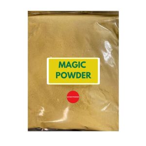Magic Powder (Magic S Powder 1 KGpouch) Seasoning