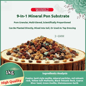 1000gram 9‑IN‑1 Mixed Mineral Rainbow Stone 3‑6mm Breathable Granules for Succulent Cactus Pot Soil Amendment Garden Paving & Aquarium Decoration
