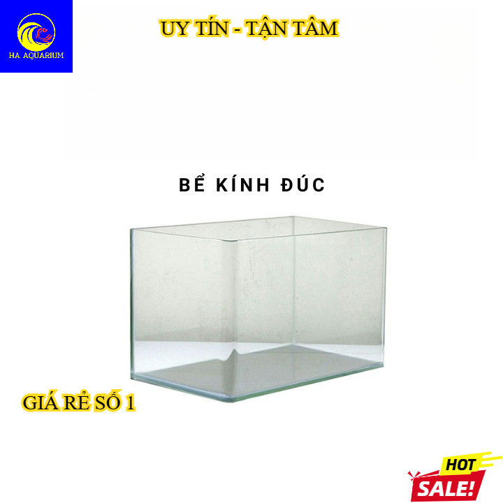 [SHIP TOÀN QUỐC] Bể kính đúc nhiều kích thước | Bể cá mini | Hồ thủy ...