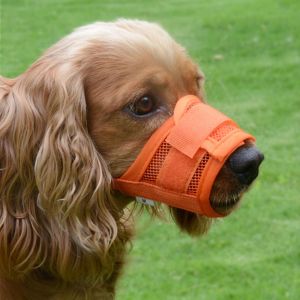 ER52858 Bite Chew Dog Mouth Cover Anti Barking Adjustable Dog Mouthpiece Dog Accessories Nylon Dog Muzzle Puppy