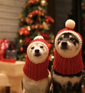 Winter Pet Dog Cap Hat Christmas Warm Small Cat Dog Hats Pug Dog Accessories for Small Medium Large Dogs
