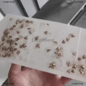 [COD] Laogeliang Home Kitchen And Clothing Adhesive Pantry Moth s With Pheromones Prime Clothes Closet Moth s Magic Moth Catcher