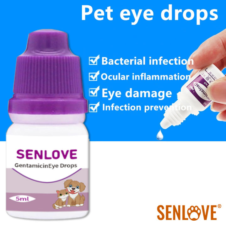 5ml Gentamicin Delone Eye Drops for Cats and Dogs Pet Eye