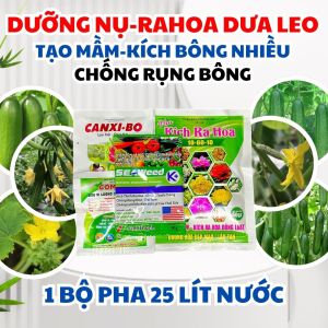 Phân Bón Lá Dưỡng Nụ Dưa Leo - Ra Hoa Dưa Leo - Hạn Chế Rụng Hoa Rụng Trái Non Dưa Leo - Dưỡng Suông Trái Dưa Leo - Thẳng Trái Dưa Leo Combo 4 Sản Phẩm Gồm: "Seaweed + Canxi Bo + Combi + Ra Hoa 10-60-10"